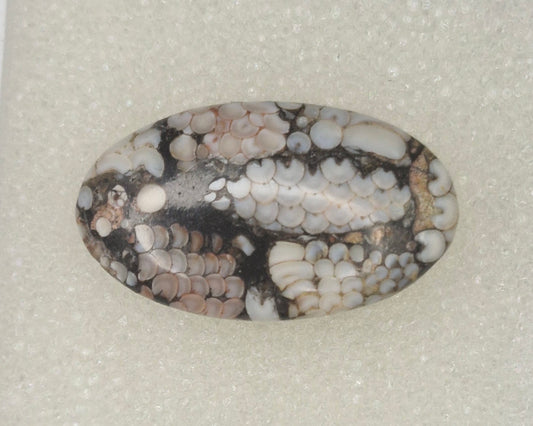 Schlangenhaut-Achat 10.36 Ct